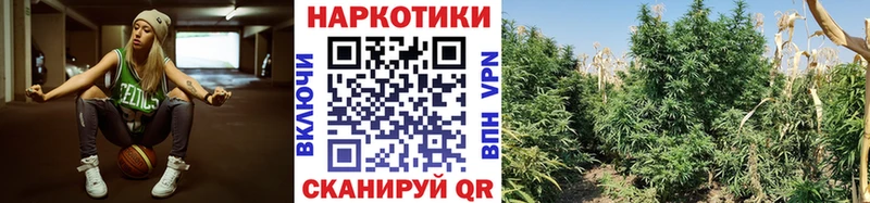 МЕФ Пойковский