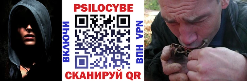 Псилоцибиновые грибы Magic Shrooms  Пойковский 